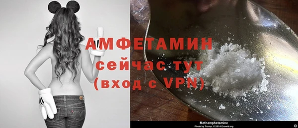 молекула духа Новокубанск