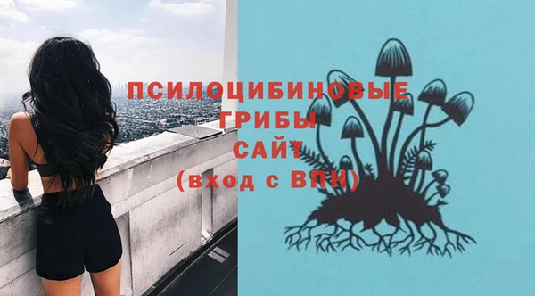 а пвп мука Алзамай